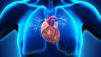تشخیص آسیب های قلبی با آزمایش تروپونین (Troponin Test)