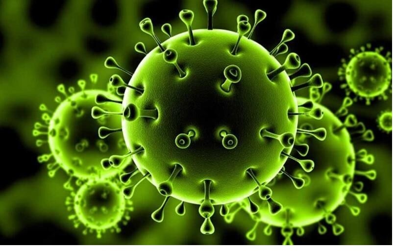 چه افرادی بیشتر در معرض خطر کرونا ویروس هستند؟
